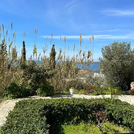 Alexandra's Sunset View דירה
