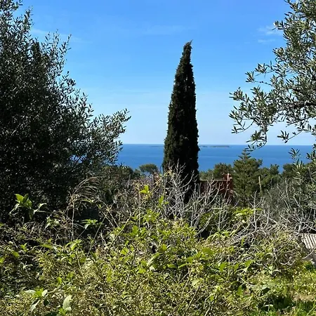 Alexandra's Sunset View * アルゴストリオン