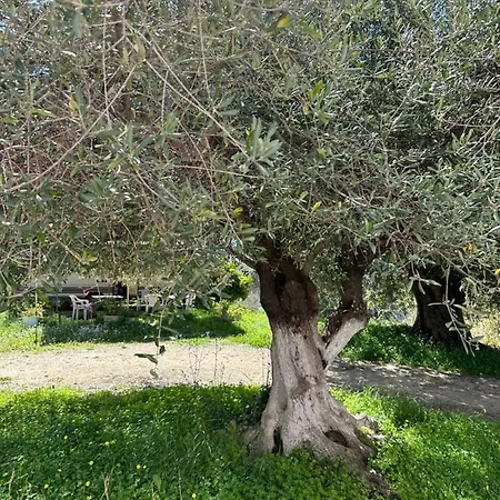 Alexandra's Sunset View Apartamento *