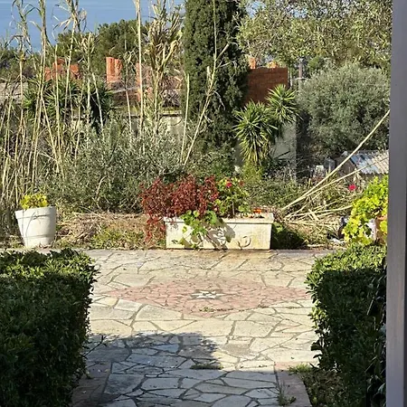 Alexandra's Sunset View * アルゴストリオン