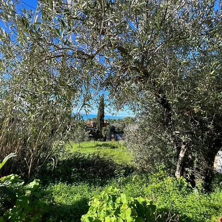 Alexandra's Sunset View * Argostoli (Kefalonia)